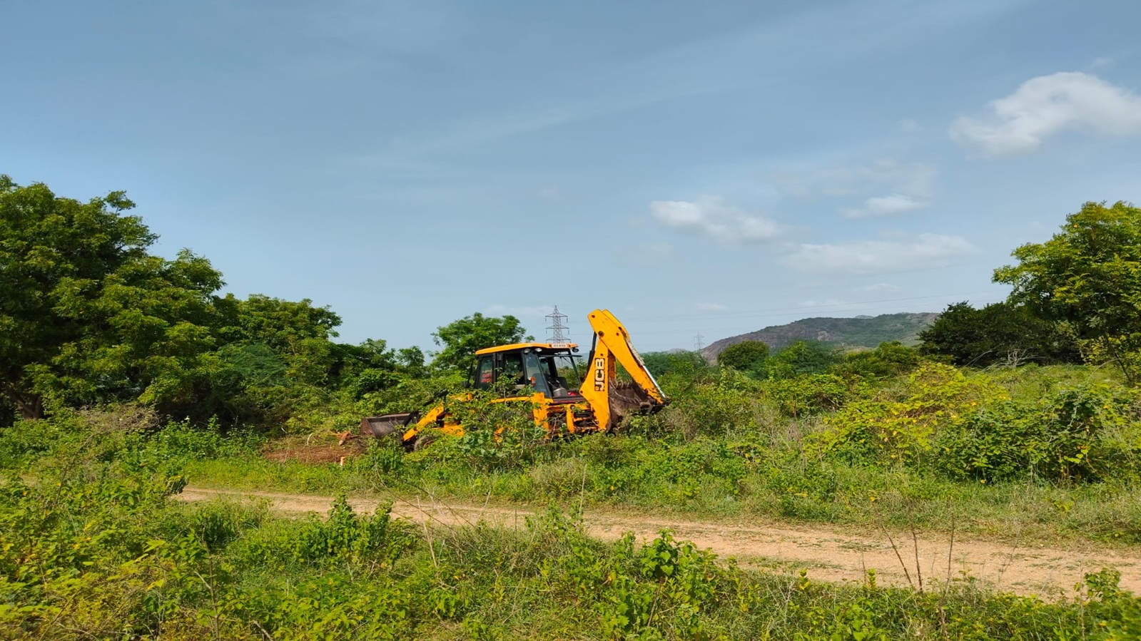 Plot 166 Before Cleanup